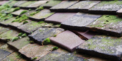 Minsterley roof repair costs